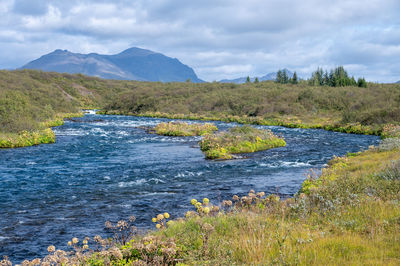 wilderness
