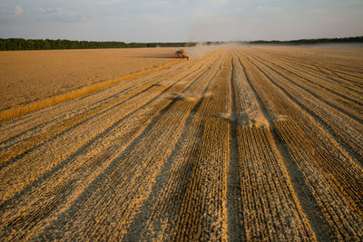 Harvester on field against sky