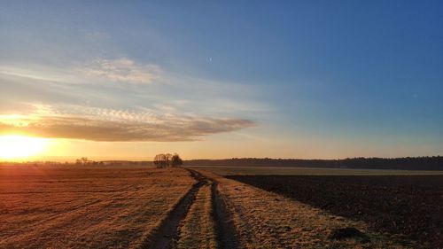 Scenic view of agricultural field against sky during sunset