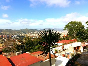 Palm trees against sky in city