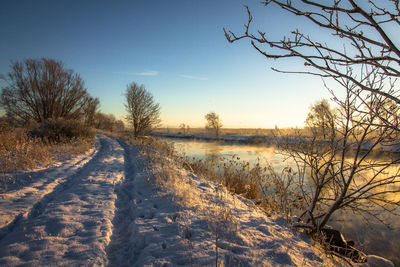 Bare trees on snow covered land against sky