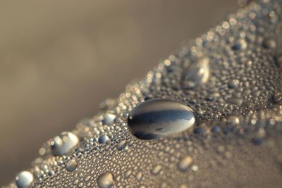 Close-up of raindrops on water drops