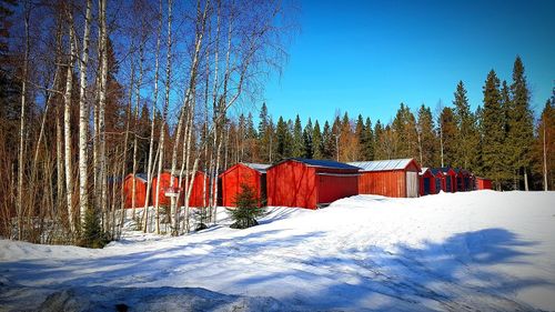 Snow covered land and trees against blue sky