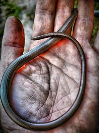 Close-up of human hand