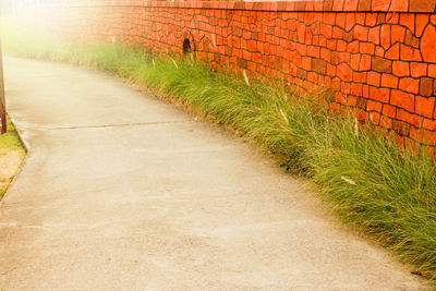 Footpath by wall