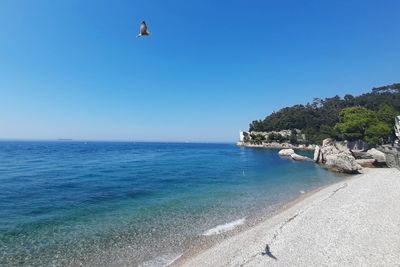 Scenic view of sea against clear blue sky