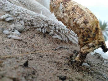 Close-up of rocks