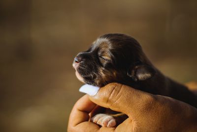 Man holding puppy