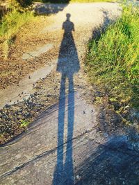 Shadow of people on road