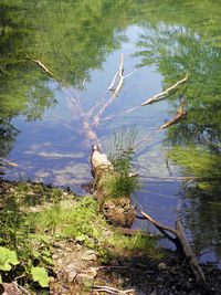 Scenic view of lake