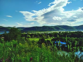 Scenic view of field against sky