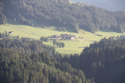 High angle view of trees on field