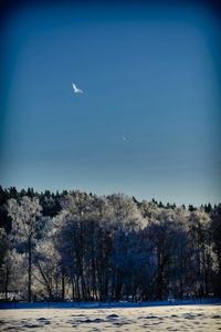 Scenic view of snow covered landscape