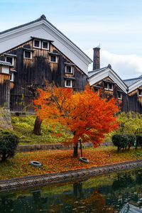 Trees by lake against buildings during autumn