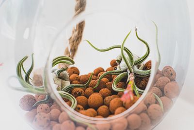 High angle view of potted plant on table