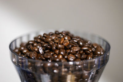 Close-up of food
