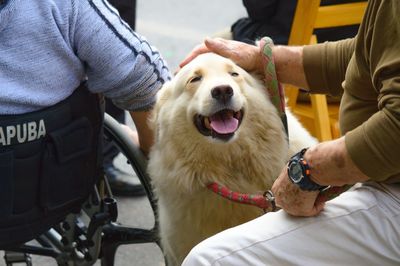 Low section of man holding dog