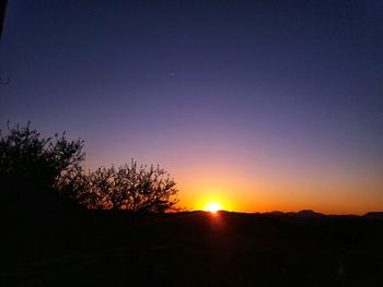 Silhouette trees against clear sky during sunset