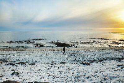 Scenic view of sea at sunset