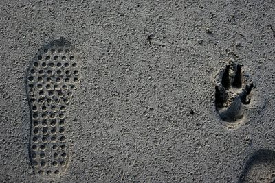 Close-up of footprints on sand