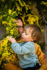 Little girl sitting in arms of her father and trying to eat blooming mimosa