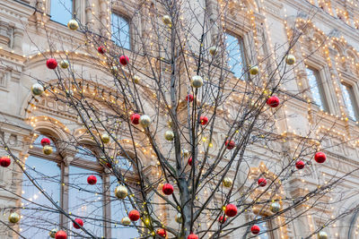 Christmas and new year holidays background. tree without leaves decorated with red and gold balls