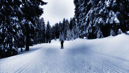 Rear view of man walking on snow covered road