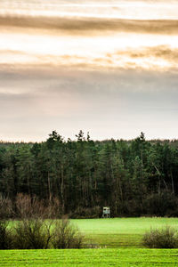 Scenic view of grassy field against sky