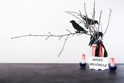 Close-up of bird perching on table