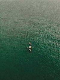 High angle view of man swimming in sea