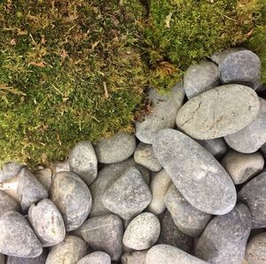 High angle view of stones