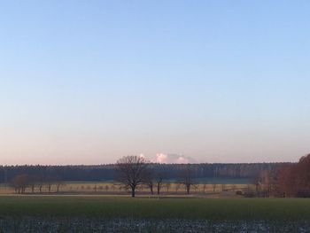 Scenic view of field against clear sky