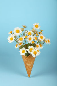 Close-up of daisies in ice cream cone against blue background