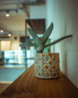 Close-up of lizard on table at home