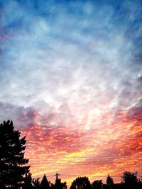 Low angle view of silhouette trees against dramatic sky