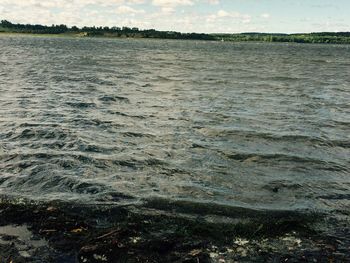 Surface level of beach