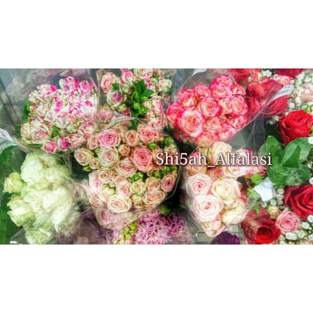 flower, transfer print, freshness, auto post production filter, indoors, variation, pink color, close-up, fragility, petal, multi colored, text, bouquet, flower head, abundance, high angle view, choice, beauty in nature, bunch of flowers, still life
