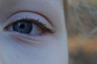 Extreme close up of human eye