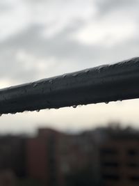 Low angle view of wet tree against sky during rainy season