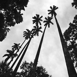 Low angle view of cloudy sky