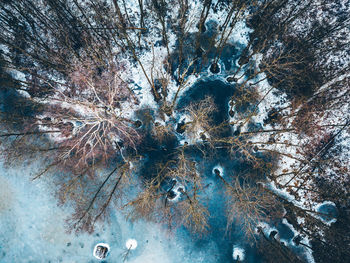 Aerial view of bare trees by lake during winter