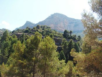 Scenic view of trees and mountains against sky