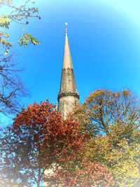 Low angle view of trees against blue sky