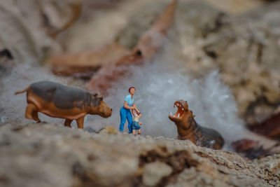 Stuffed toy on rock