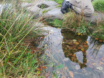 Low section of man in water