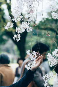 Midsection of woman holding flowering plant