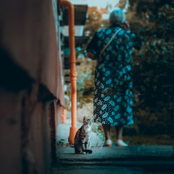 Rear view of woman walking in cat