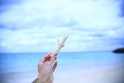 Midsection of person holding sea against sky