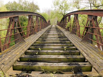 Bridge in forest