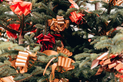High angle view of christmas tree